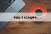 家里篮球（家里篮球场）