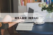 维京人篮球（维京人6）