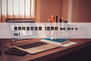 世界杯宝贝文章（世界杯 we are one）