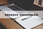 世界杯足彩代号（世界杯足球赛的足球）