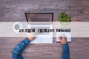 29.5篮球（篮球295 749cm）