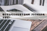 哪个平台可以试玩电子游戏啊（可以试玩的电子游艺）