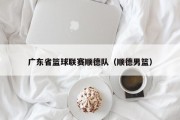 广东省篮球联赛顺德队（顺德男篮）