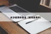长沙世界杯贺龙（贺炜世界杯）